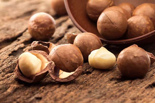 Macadamia Market Outlook: Strategic Growth and Industry Insights