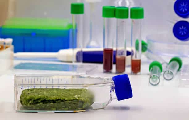 Singapore Molecular Biology EnzymesKits & Reagents Market Innovations: Trends and Strategic Opportunities