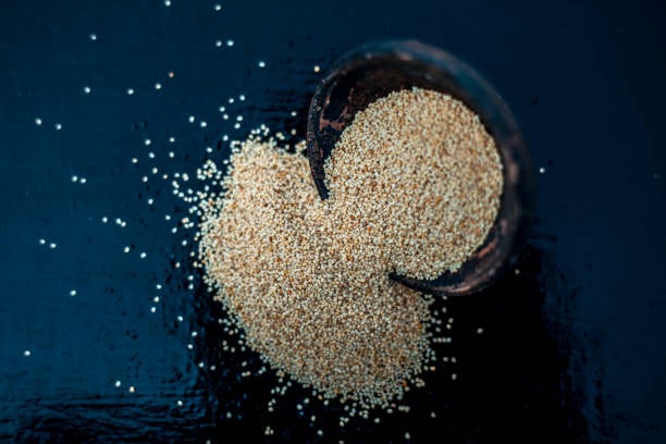 South Korea Poppy Seeds Market Revealed Horizons: Forecast 2035 Size, Share, and Growth Insights