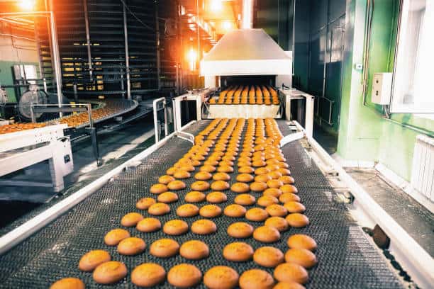 India Food Processing Industry Market Research Report with Updated Recession Risk & Tariff Analysis & Forecasts