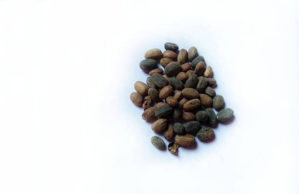 china Tubatoxin Market In Focus: Size, Share, and Growth Trends Explored through 2035