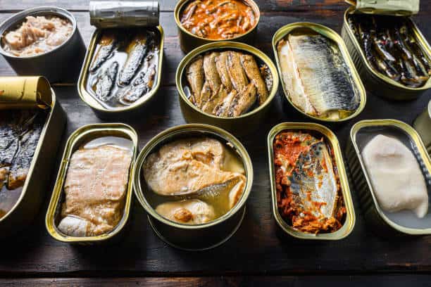 China Canned Sea Food Market Revealed Horizons: Forecast 2035 Size, Share, and Growth Insights