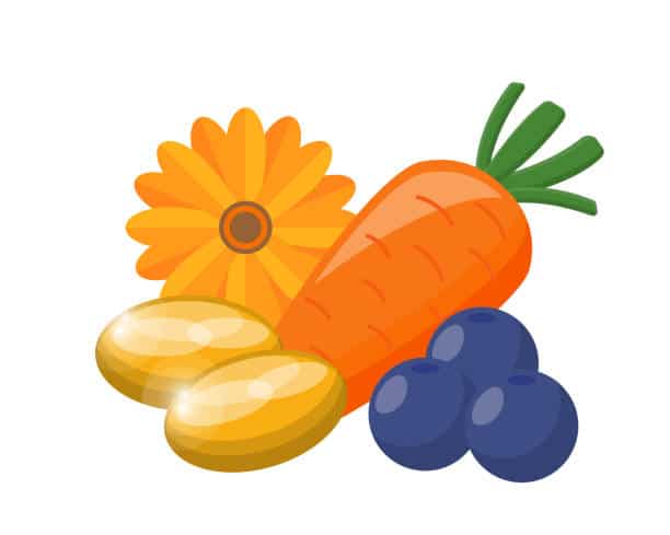 Japan Xanthophy and Carotene Market Outlook 2035: Size, Share, and Growth Insights Revealed