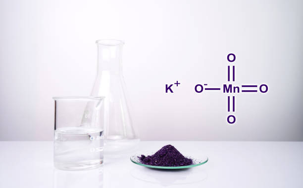 Potassium Methoxide Market Dynamics and Strategic Recommendations for 2025-2035