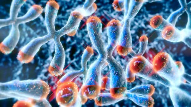 Enzymes Market : Emerging Innovations (2025-2035) – A Comprehensive Report