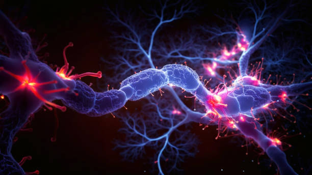 Multiple Sclerosis Market Pathways: Comprehensive Analysis of Size, Share, and Growth Trends until 2036