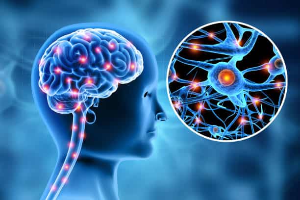 U.S. Bartter Syndrome Treatment Market Future Scope: Size, Share, and Growth Projections by 2036