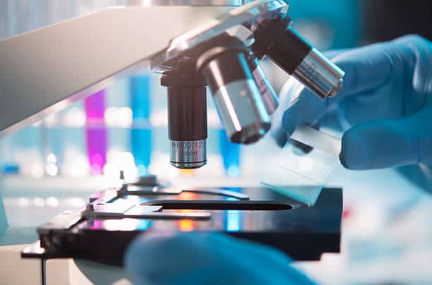 Surgical Microscopes Market Future Scope: Size, Share, and Growth Projections by 2036