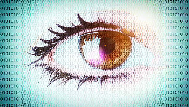 Japan Machine Vision System Market In Focus: Size, Share, and Growth Trends Explored through 2035
