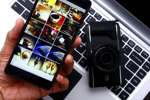 China Art Gallery Software Market Pathways: Comprehensive Analysis of Size, Share, and Growth Trends until 2035