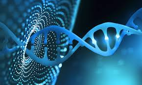 UAE Protein Purification and Isolation Market Analysis: Trends, Opportunities, and Forecast