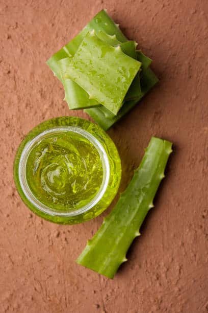 Singapore Aloe Vera Extract Market Strategies: Competitive Insights for Expansion