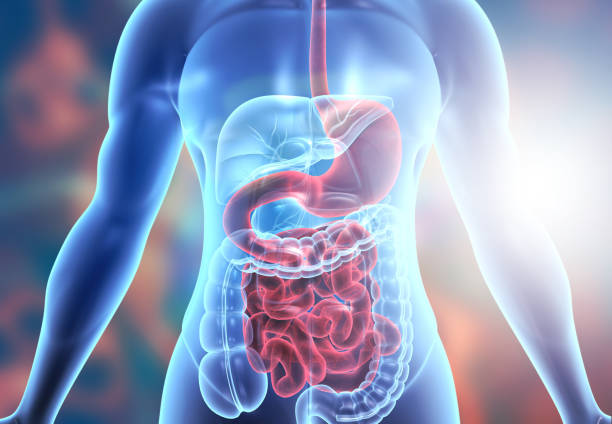 Europe BioSurgery Market Sector in Transition: Assessing Risk, Resilience, and Policy Disruption