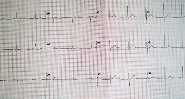 China Cardiology PACS Market Industry Forecast: Navigating the Trade-Off Era Amid Global Economic Uncertainty