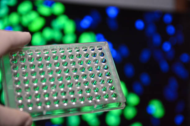 Malaysia Cell-Based Assay Market Reset: Analyzing Economic Stressors and Trade Policy Shocks