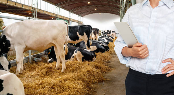 Japan Dairy Herd Management Standalone Software Market Intelligence Report: Recession Readiness and Tariff Implications