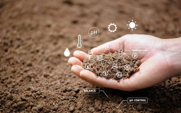 Europe Environment Monitoring Market Trends: Emerging Innovations and Dynamics