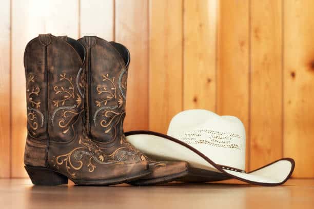 China Equestrian Clothing Market Sector in Transition: Assessing Risk, Resilience, and Policy Disruption