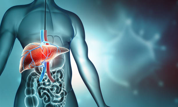 Malaysia Liver Disease Treatment Market Industry at a Crossroads: Recession Threats and the Future of Global Trade
