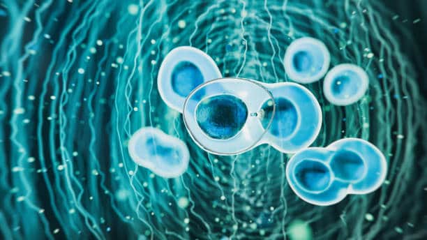 Korea Membrane Separation Technology Market Economic Forecast 2025: Tariff Impacts, Recession Risk & Recovery Scenarios