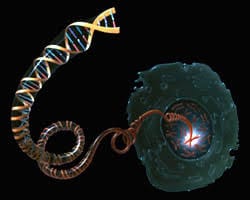 SINGLE CELL