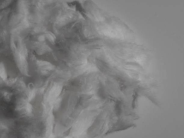 Taiwan Viscose Staple Fiber Market Trends: Emerging Innovations and Dynamics
