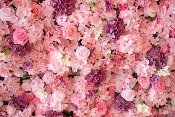U.S. Artificial Flowers Market Pathways: Comprehensive Analysis of Size, Share, and Growth Trends until 2037