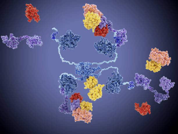 Asia Pacific Protein Expression Systems Market Pathways: Comprehensive Analysis of Size, Share, and Growth Trends until 2037
