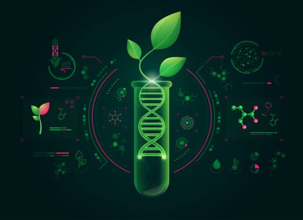 Japan Seed Treatment Market Size, Share, and Demand Forecast (2025-2035)