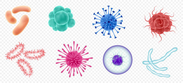 China 3D Cell Culture Market Pathways: Comprehensive Analysis of Size, Share, and Growth Trends until 2035