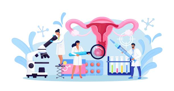 China Gynecology Surgical Instruments Market Future Scope: Size, Share, and Growth Projections by 2035