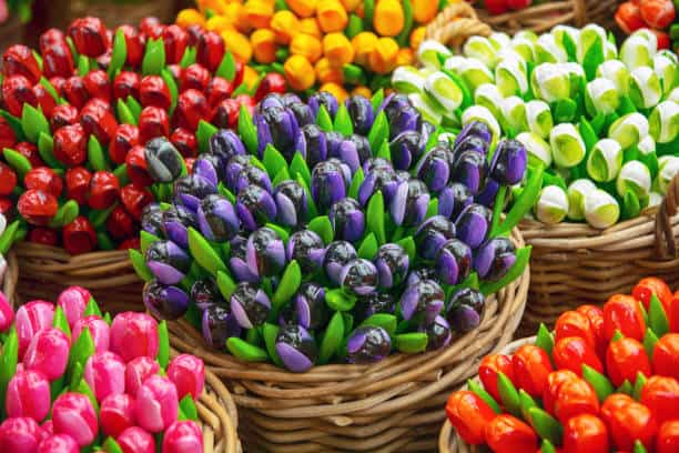 Europe Artificial Flowers Market Future Scope: Size, Share, and Growth Projections by 2037