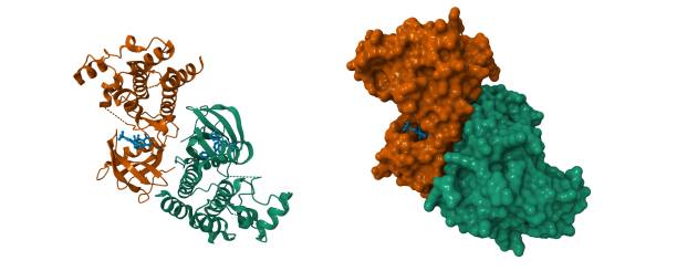 USA Kinase Inhibitor Market : Analyzing the Impact of Regulatory Changes (2025-2035)