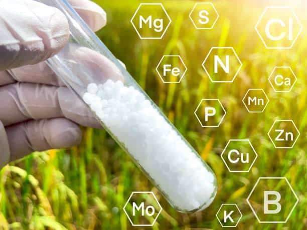 Japan Agrochemical CDMO Market Analysis: Trends, Opportunities, and Forecast