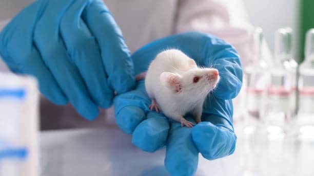 JAPAN Animal Biotechnology Market Reset: Analyzing Economic Stressors and Trade Policy Shocks