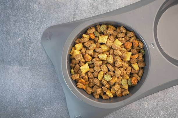 KOREA Animal and Pet Nutrition Ingredients Market Intelligence Report: Recession Readiness and Tariff Implications