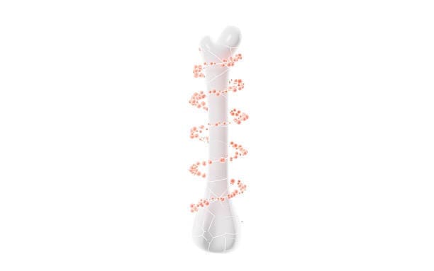japan Bone Growth Stimulator Market Outlook 2025: Forecasting Growth in a Time of Economic and Policy Shifts