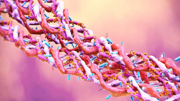 Europe Cosmetic Peptide Synthesis Market Outlook: Strategic Growth and Industry Insights