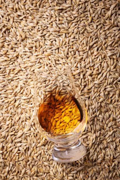 Europe Distillers Dried Grains with Solubles (DDGS) Market Report: Comprehensive Overview of Developments