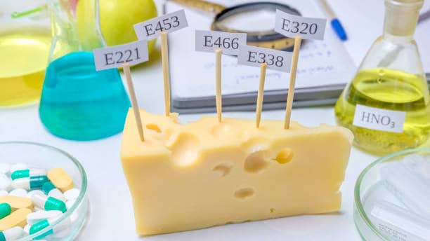 JAPAN Enzyme Modified Cheese Market Industry at a Crossroads: Recession Threats and the Future of Global Trade