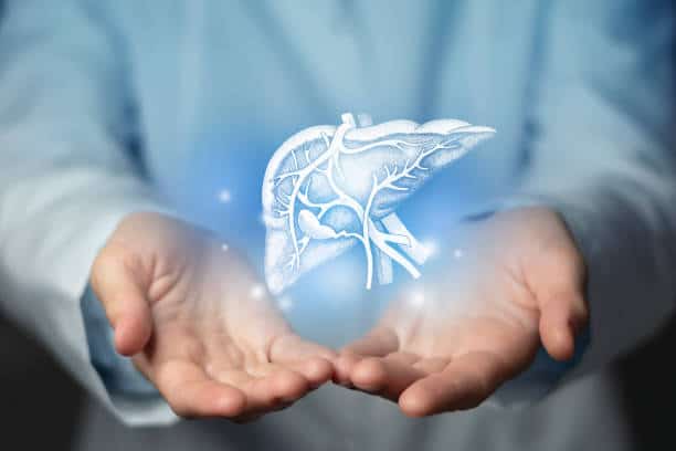 Japan Liver Disease Treatment Market Strategies: Competitive Insights for Expansion