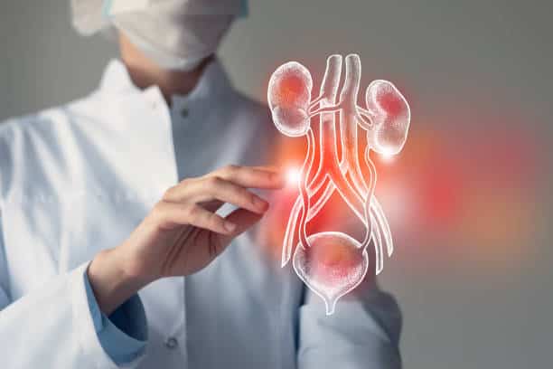 Europe Nephrotic Syndrome Treatment Market Outlook: Strategic Growth and Industry Insights