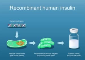 Recombinant Proteins