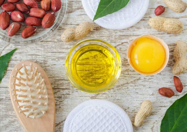 JAPAN SPF Eggs Market Watch: Strategic Forecasts Amid Rising Economic Volatility
