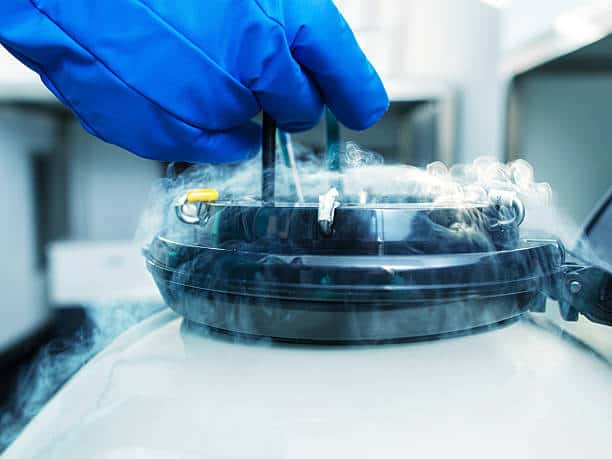 North America Sample Containers Market Dynamics: Regional Breakdown and Analysis