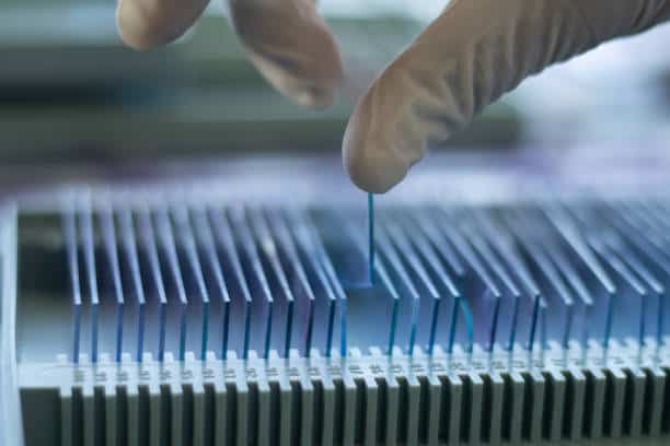 Europe Single Cell Analysis Market Outlook: Strategic Growth and Industry Insights
