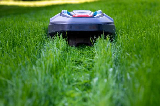 Japan Robot Lawn Mowers Market Outlook 2035: Size, Share, and Growth Insights Revealed