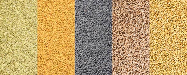 U.S Fenugreek Seed Extract Market Outlook 2035: Size, Share, and Growth Insights Revealed