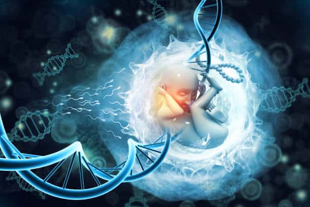 U.S Precision Medical Imaging Market Future Scope: Size, Share, and Growth Projections by 2035