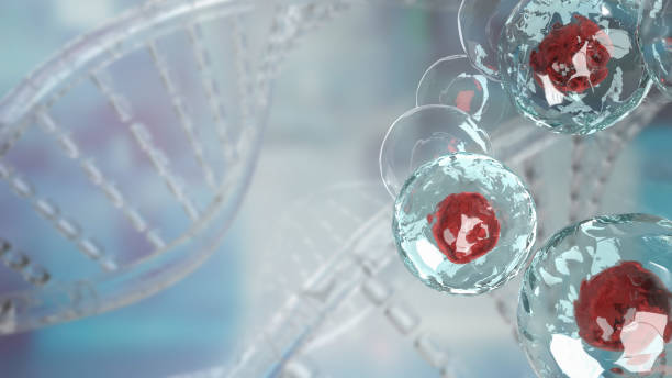 U.S Cell and Gene Therapy CDMO Market Pathways: Comprehensive Analysis of Size, Share, and Growth Trends until 2035